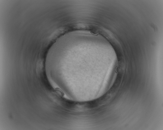 X0000113590560200910161845