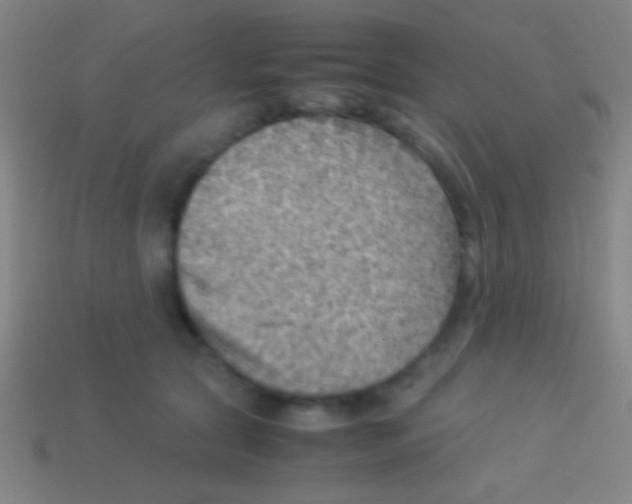 X0000113590561200910161845