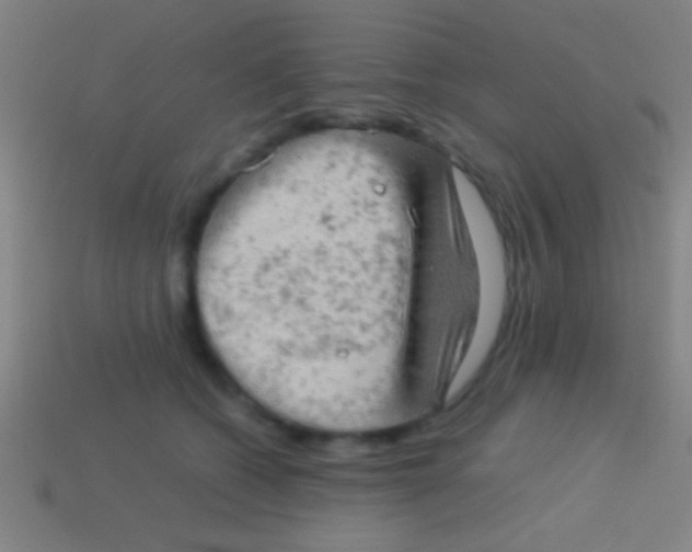 X0000113590562200910161845