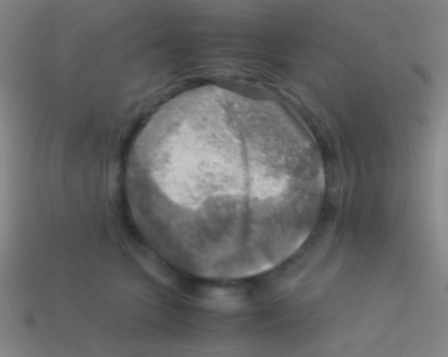 X0000113590563200910161845