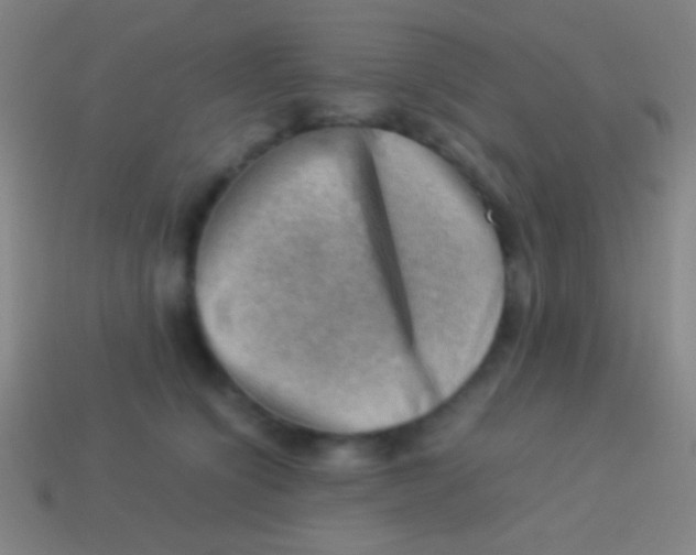 X0000113590564200910161845