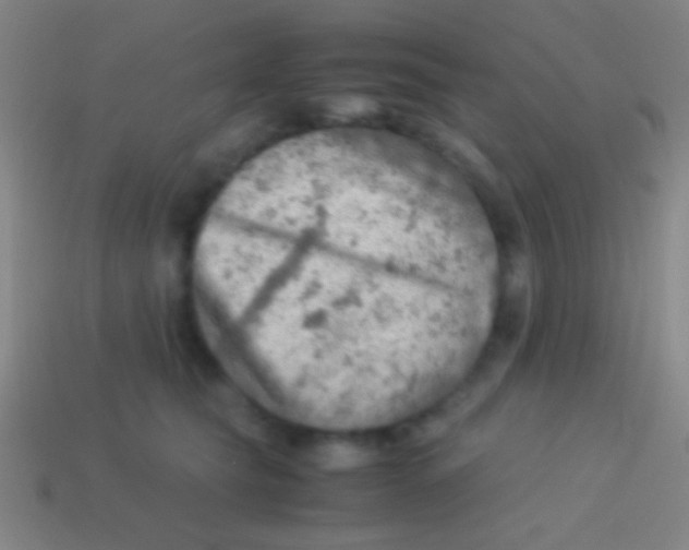 X0000113590565200910161845