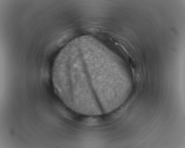 X0000113590566200910161845