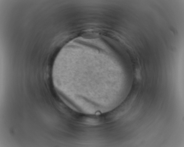 X0000113590567200910161845