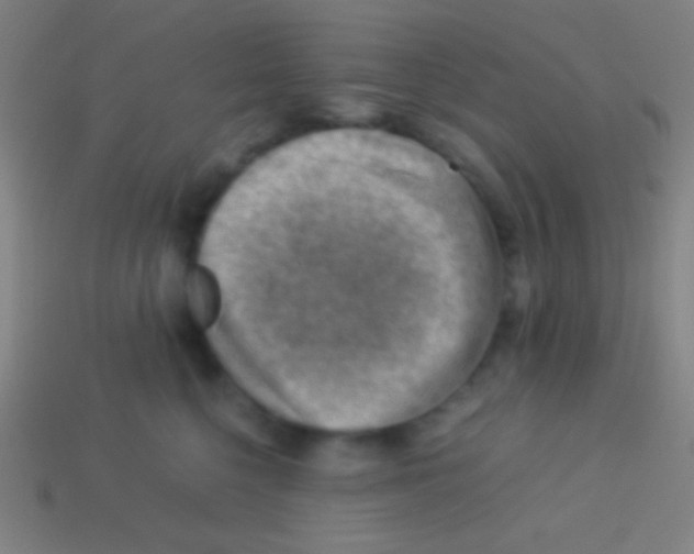 X0000113590568200910161845