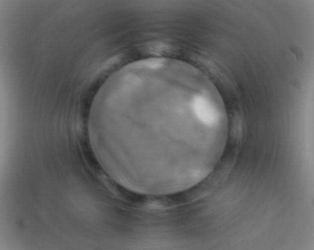 X0000113590569200910161846