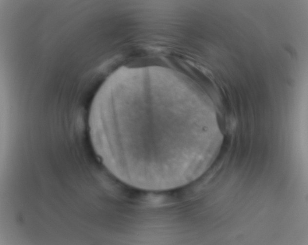 X0000113590570200910161846