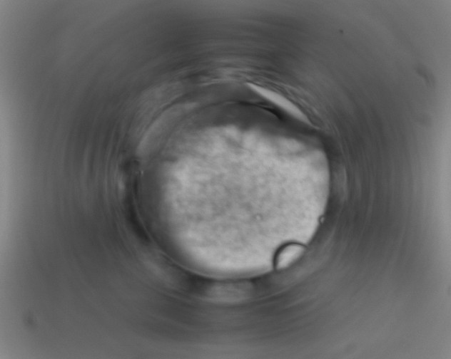 X0000113590571200910161846