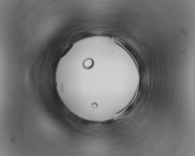X0000113590572200910161846