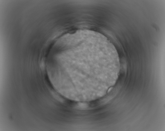 X0000113590573200910161846