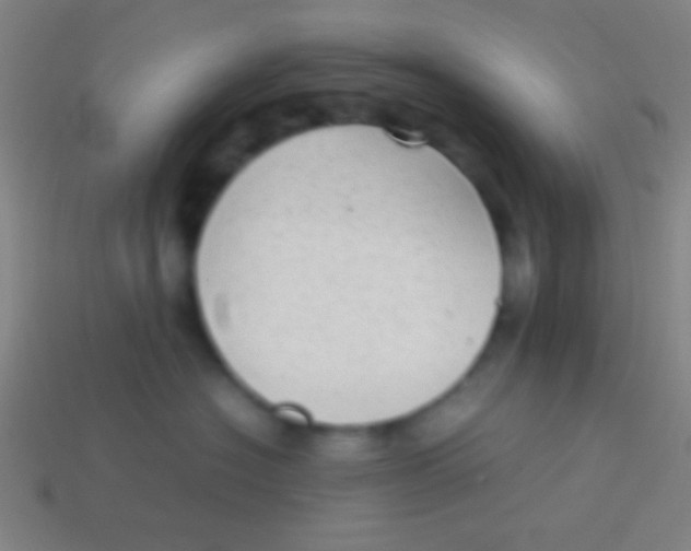 X0000113590574200910161846