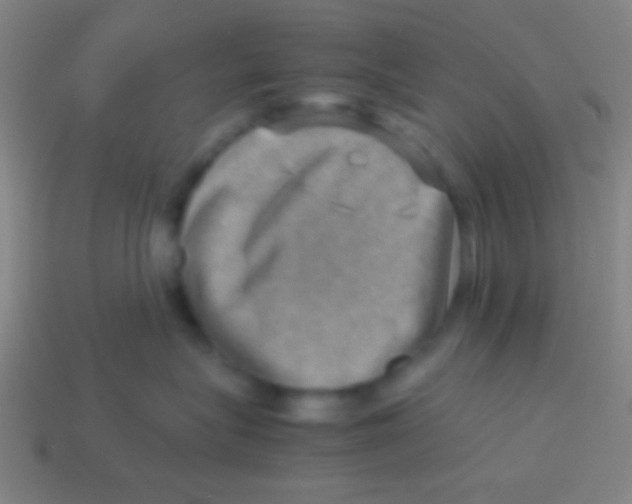 X0000113590575200910161846
