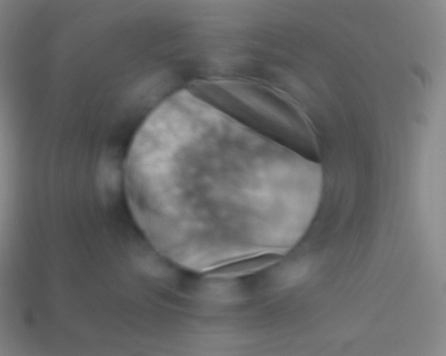 X0000113590576200910161846