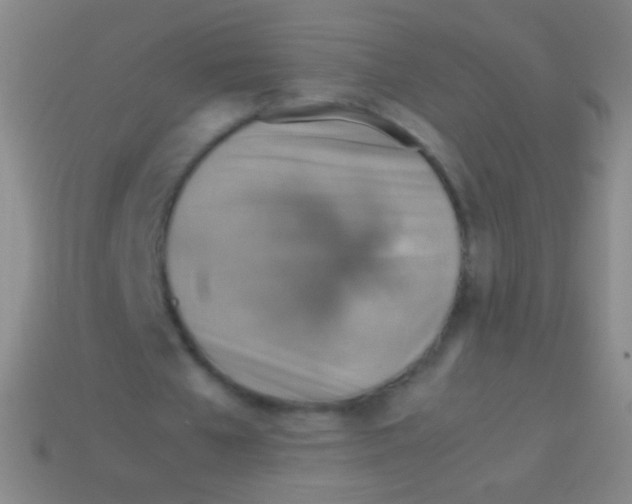 X0000113590577200910161845