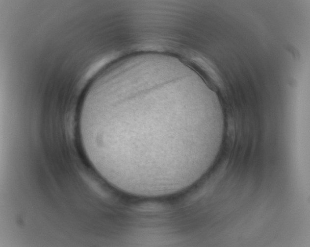 X0000113590578200910161845