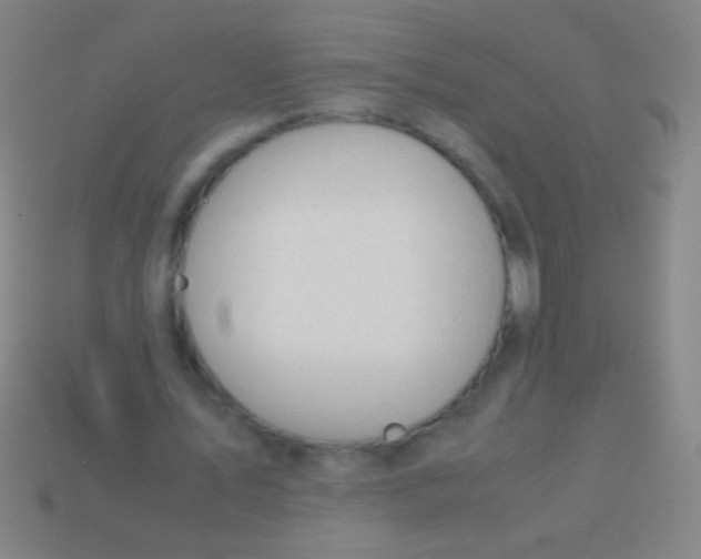 X0000113590579200910161845