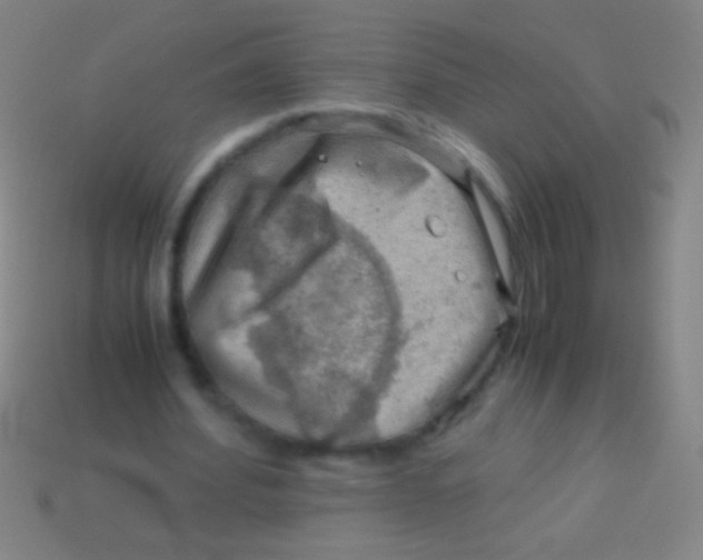 X0000113590580200910161845