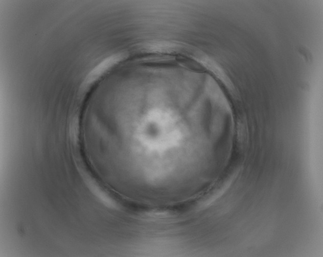 X0000113590581200910161845