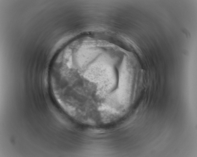 X0000113590582200910161845