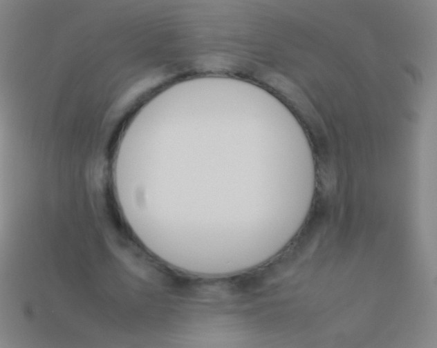 X0000113590583200910161845