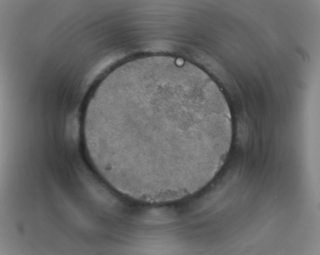 X0000113590584200910161845
