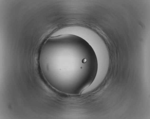 X0000113590585200910161845