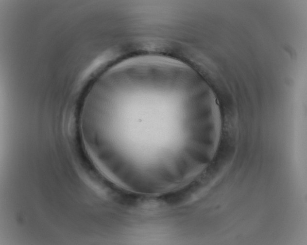 X0000113590587200910161845