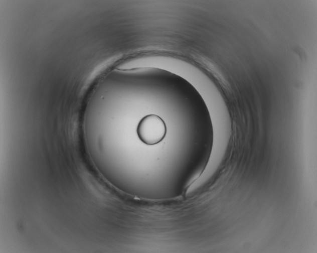 X0000113590588200910161845