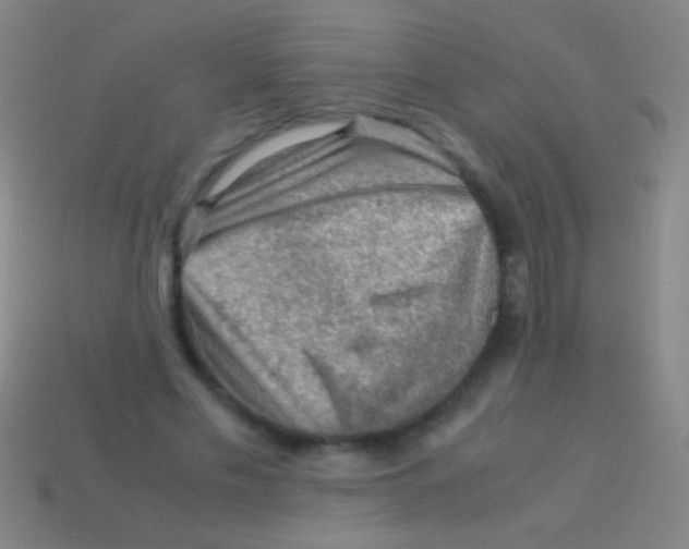 X0000113590589200910161845