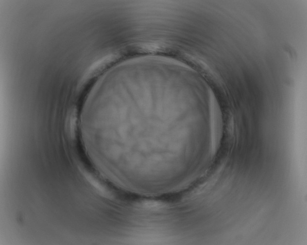 X0000113590590200910161845