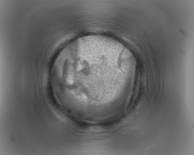X0000113590591200910161845