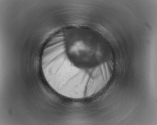 X0000113590592200910161845