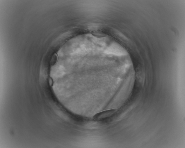 X0000113590593200910161845