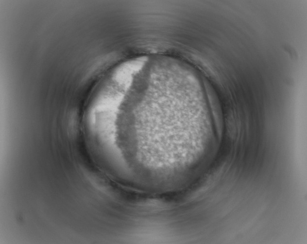 X0000113590594200910161845