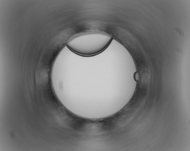 X0000113590595200910161845