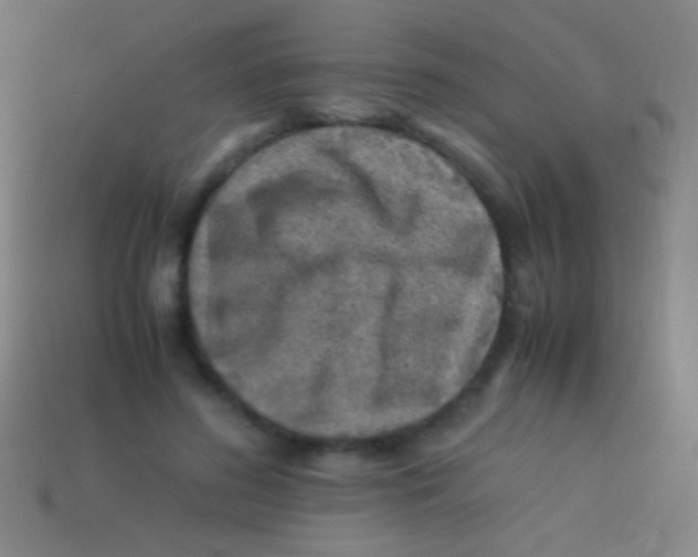X0000113590596200910161845
