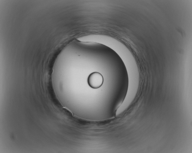 X0000113590597200910161845