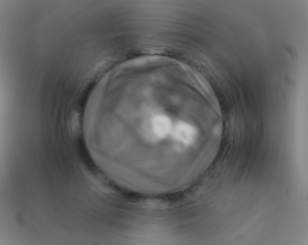 X0000113590598200910161845