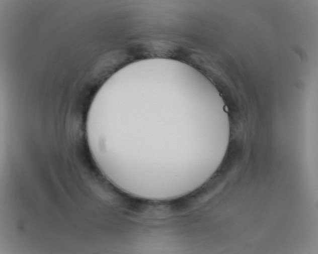 X0000113590599200910161845