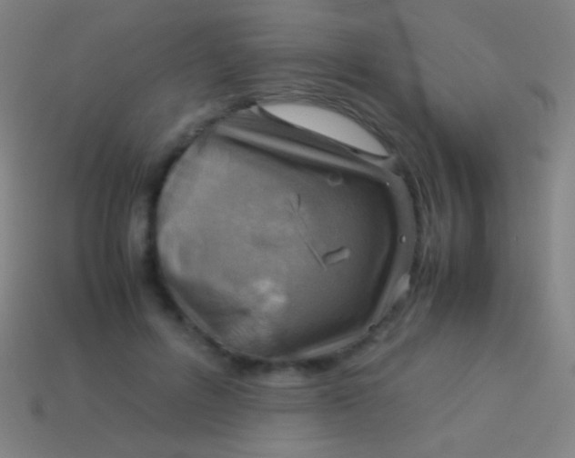 X0000113590600200910161845