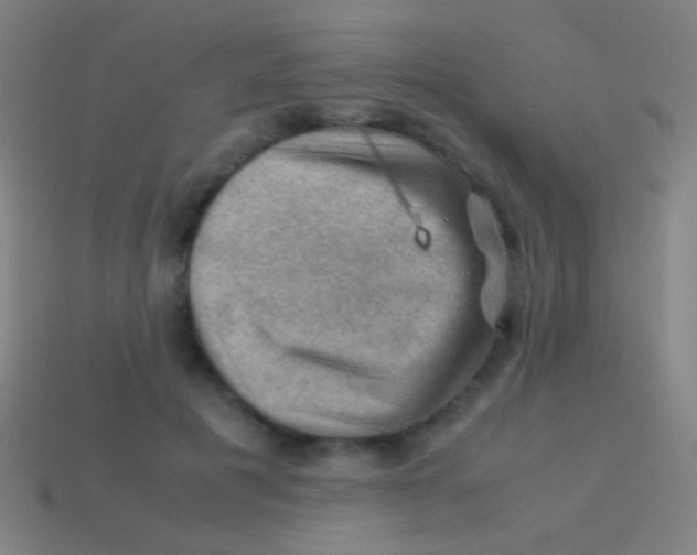 X0000113590601200910161845