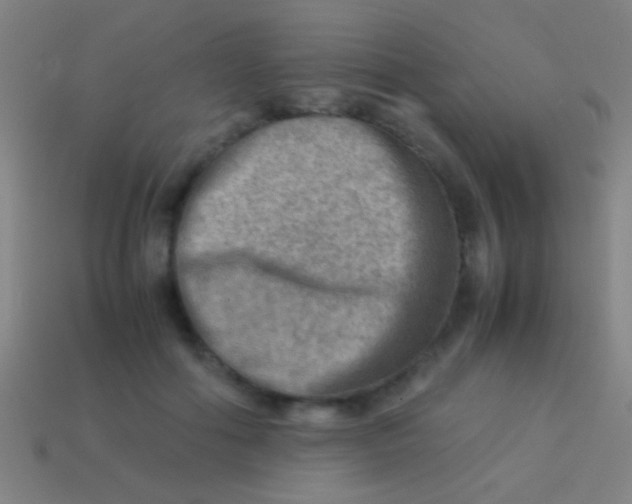 X0000113590602200910161845