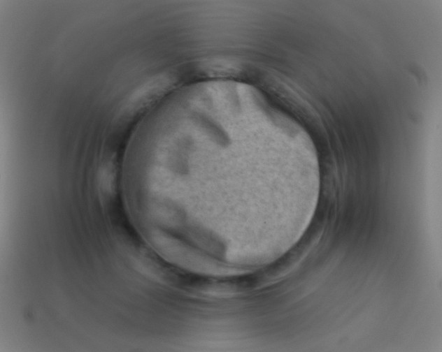X0000113590604200910161845