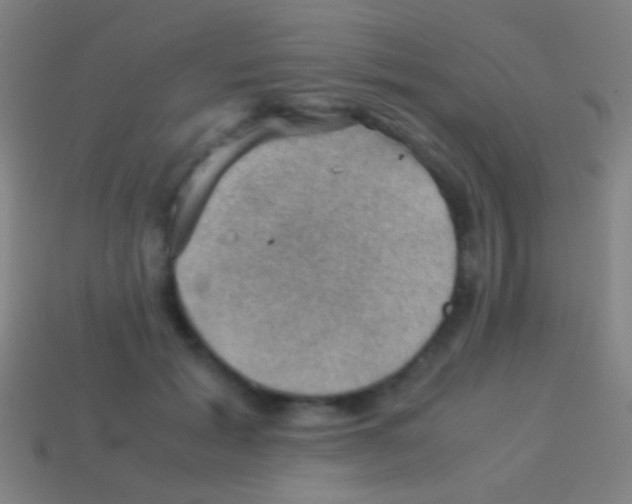 X0000113590605200910161845