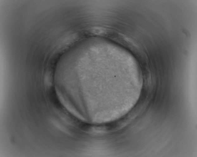 X0000113590606200910161845