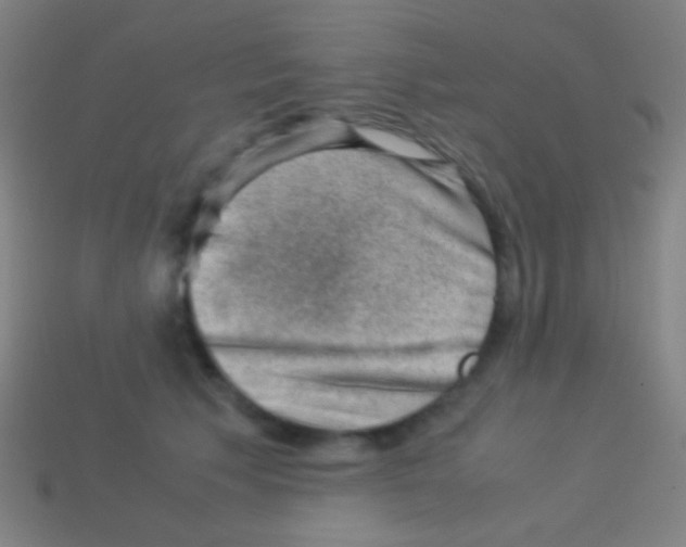 X0000113590609200910161844
