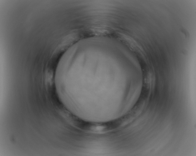 X0000113590610200910161844