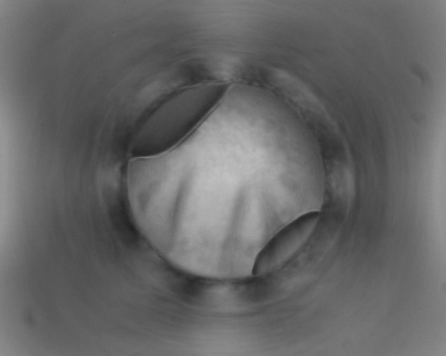 X0000113590611200910161844