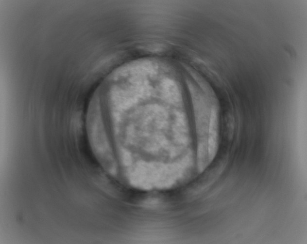 X0000113590612200910161844