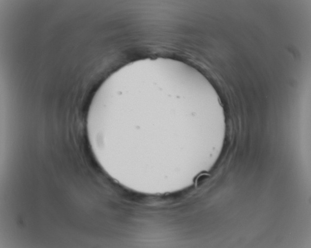 X0000113590613200910161844